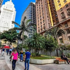 Dedetizadora Desentupidora no Centro