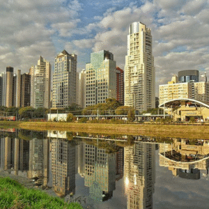 Dedetizadora Desentupidora na Zona Oeste