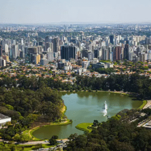 Dedetizadora Desentupidora na Zona Sul
